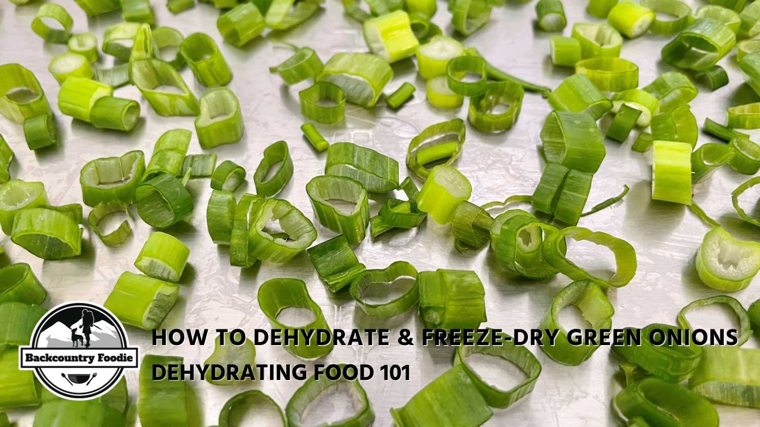 Learn how to safely dehydrate or freeze-dry green onions for backpacking meals and enjoy a Veggie Pho Noodle Soup recipe! #howtodehydrategreenonions #howtofreezedrygreenoions #dehydrated scallions #backpackingmealideas #howtodehydratefood #backcountryfoodie