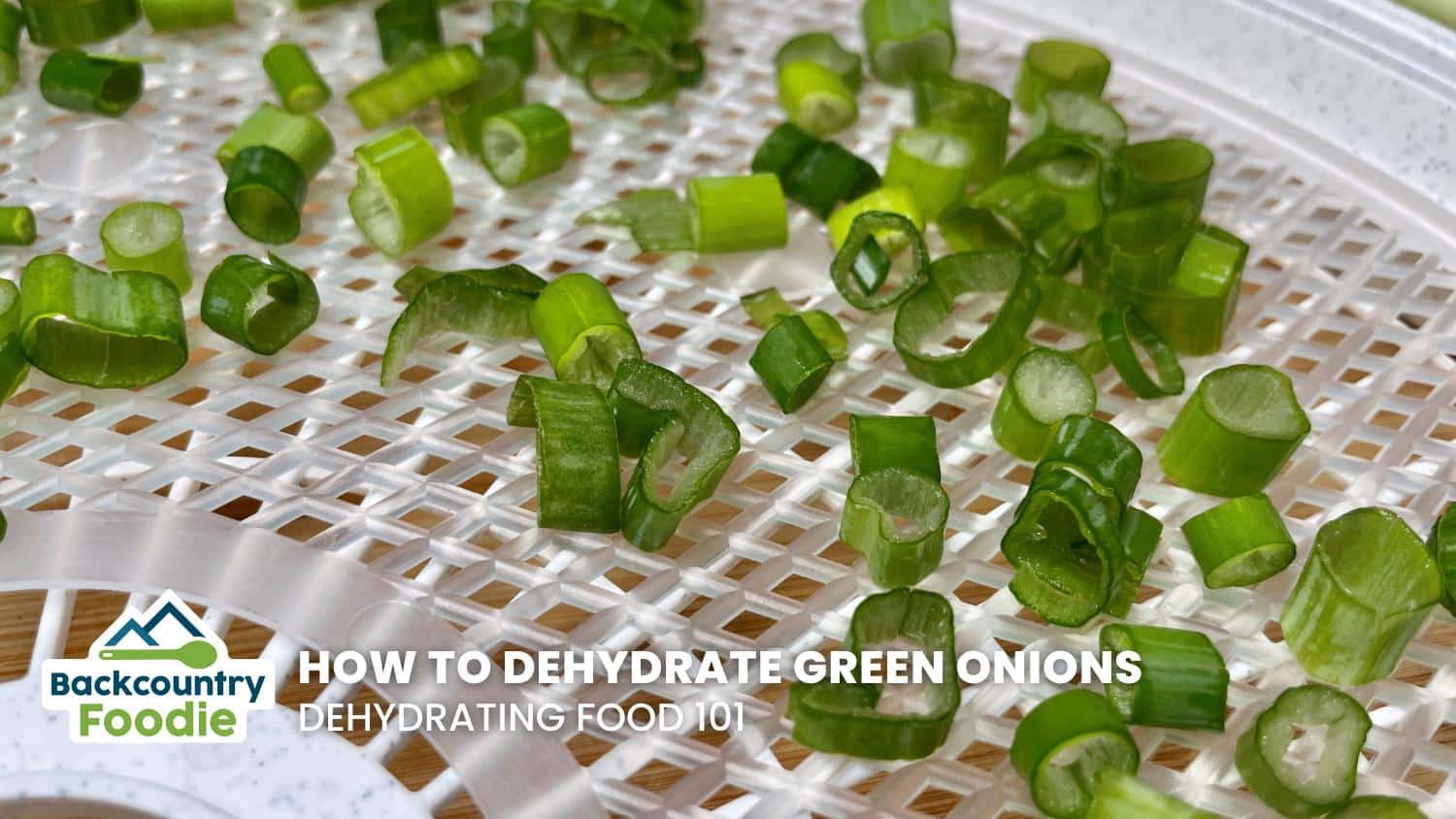 Backcountry Foodie Blog How to Dehydrate and Freeze Dry Green Onions Dehydrating Food 101