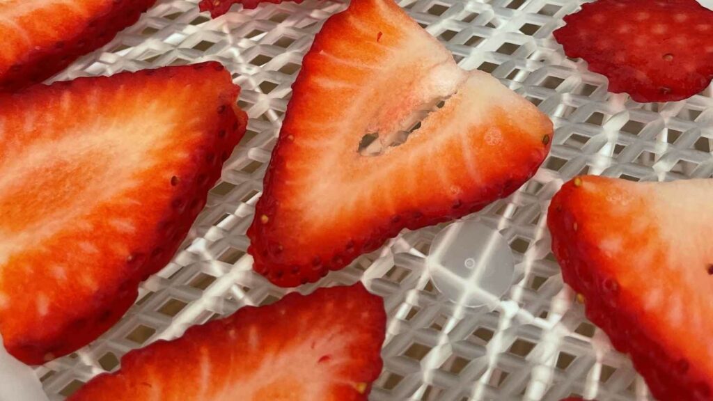 fresh strawberries to be dehydrated for backpacking meals