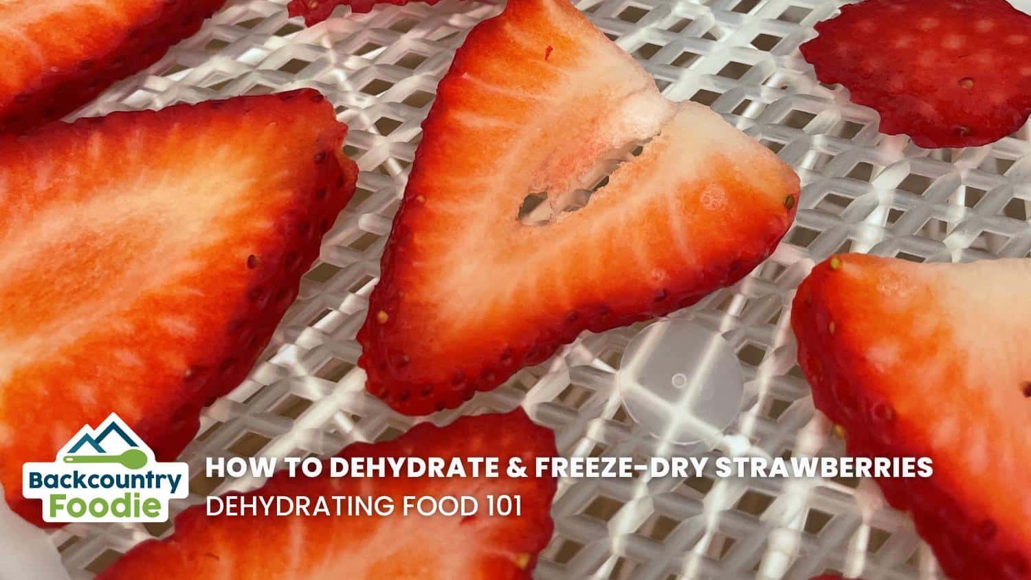 Backcountry Foodie Blog How to Dehydrate and Freeze Dry Strawberries for Backpacking Meals Dehydrating Food 101 thumbnail image