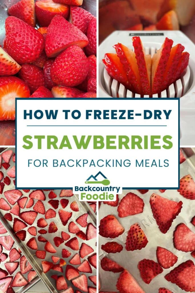 Backcountry Foodie Blog How to Freeze Dry Strawberries for Backpacking Meals Dehydrating Food 101 pinterest thumbnail