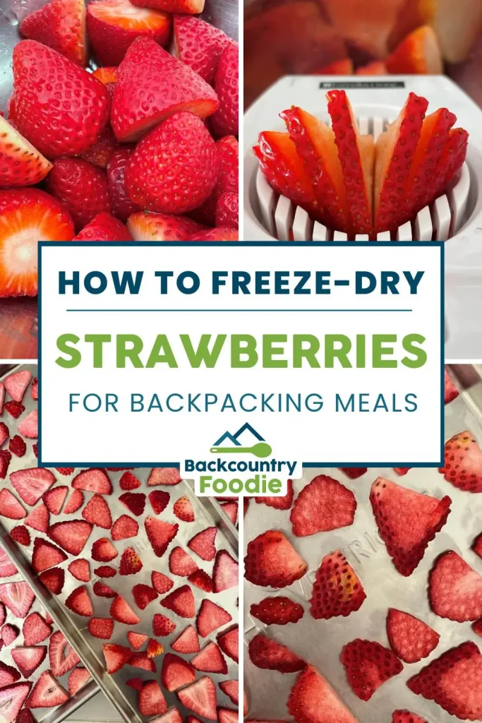 Backcountry Foodie Blog How to Dehydrate and Freeze Dry Strawberries for Backpacking Meals Dehydrating Food 101 pinterest new logo2