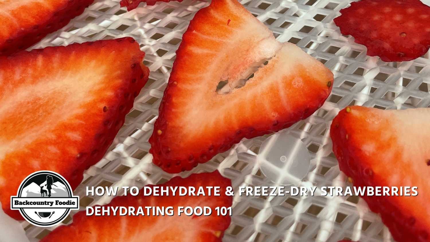 Learn how to add a boost of flavor to your backpacking meals by using dehydrated or freeze-dry strawberries. Enjoy our Granola with Milk & Berries recipe using your DIY dehydrated or freeze-dried strawberries. #howtodehydrate fruit #howtodehydratestrawberries #howtofreezedryfruit #backpackingmeals #diybackpackingrecipes #diybackpackingmeals #hikingfoodideas #backcountryfoodie