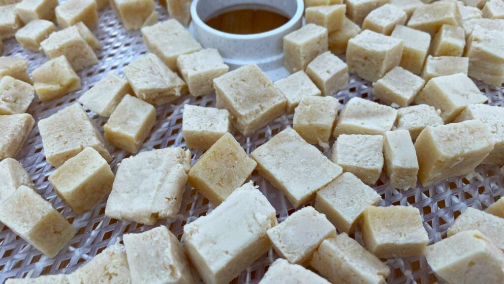 Cubed tofu on a Nesco dehydrator tray waiting to be dehydrated for backpacking meals