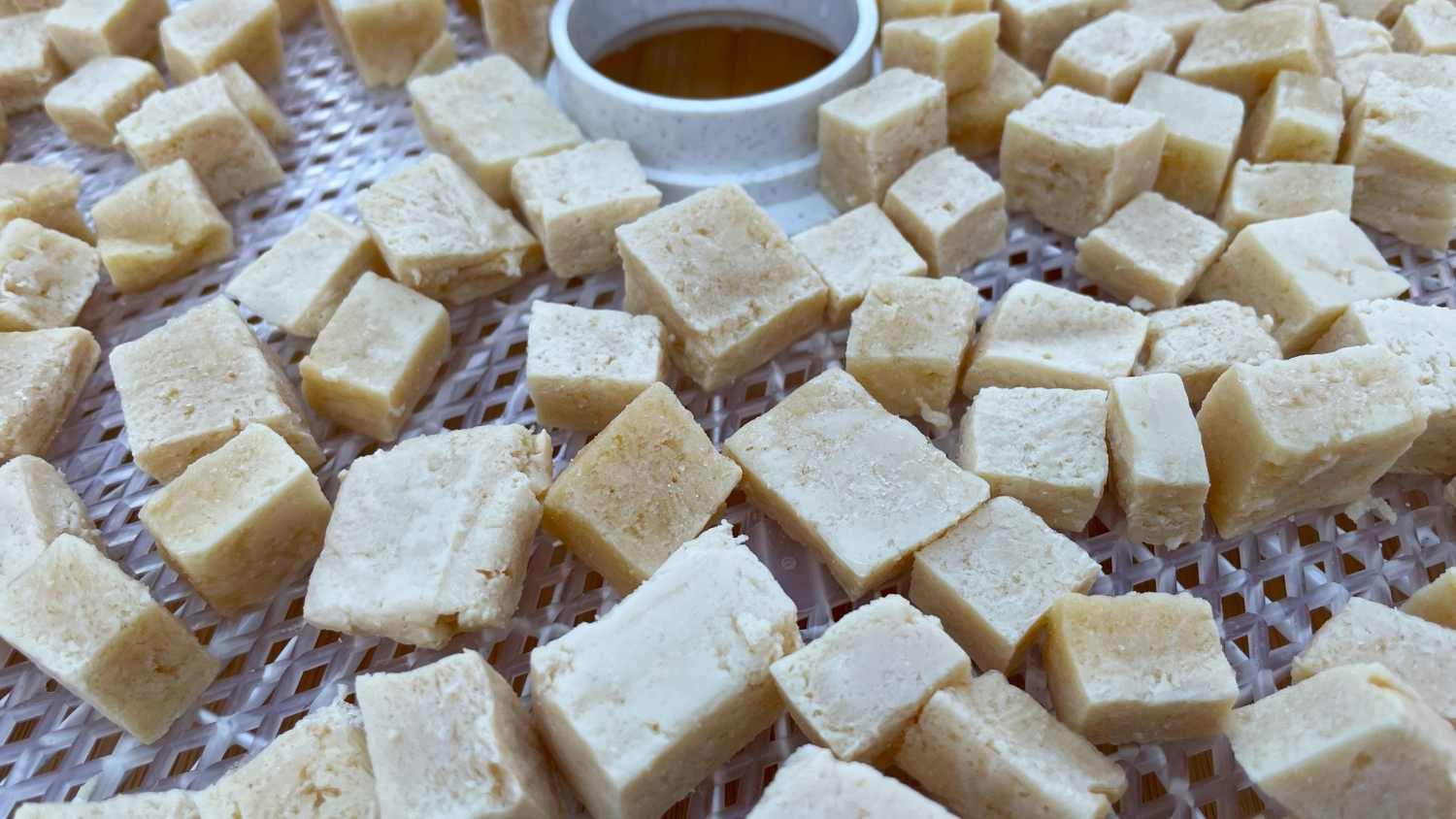 How to Safely Dehydrate & FreezeDry Tofu for Backpacking Meals