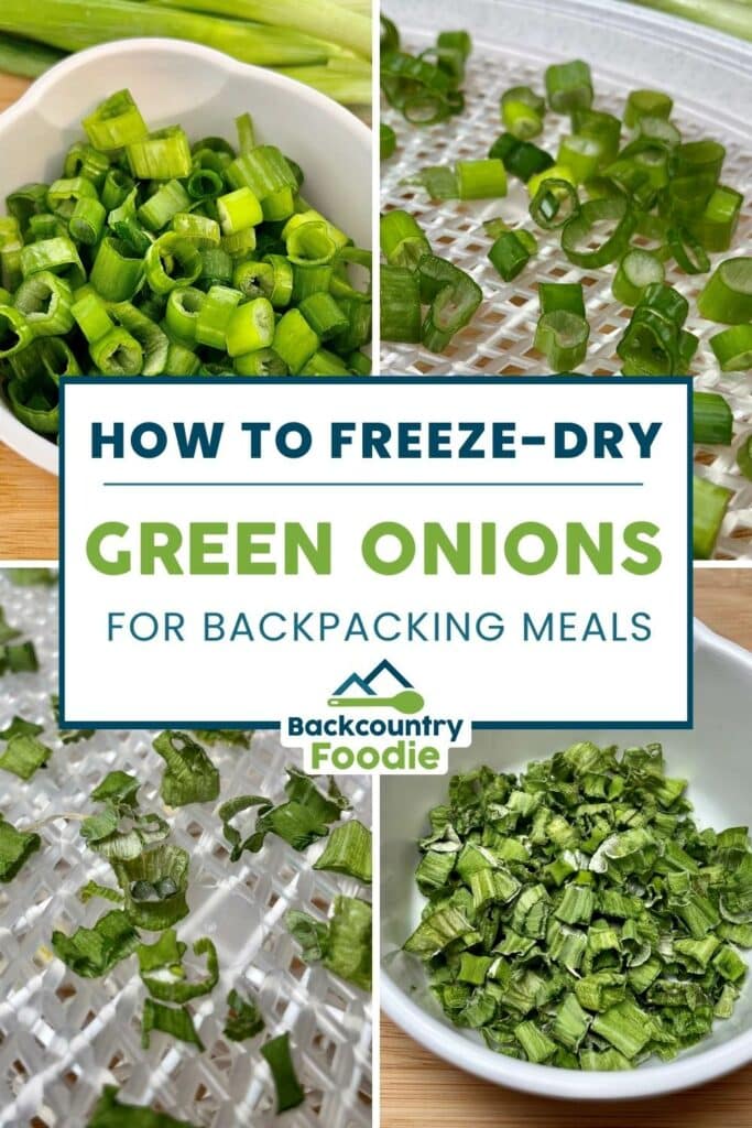 Backcountry Foodie Blog How to Freeze Dry Green Onions Dehydrating Food 101 pinterest image
