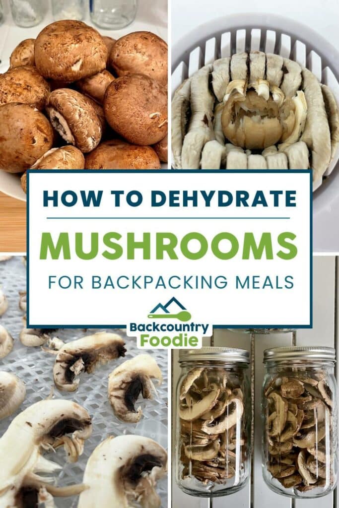 Backcountry Foodie how to dehydrate mushrooms for backpacking meals pinterest image
