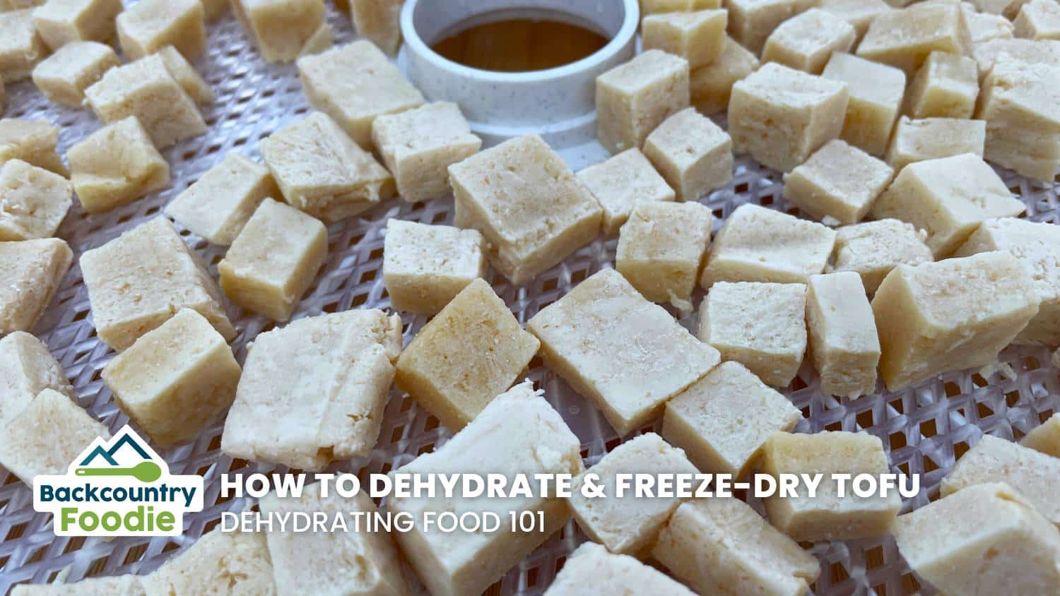 Backcountry Foodie How to Dehydrate Tofu for Backpacking Meals Dehydrating Food 101 blog