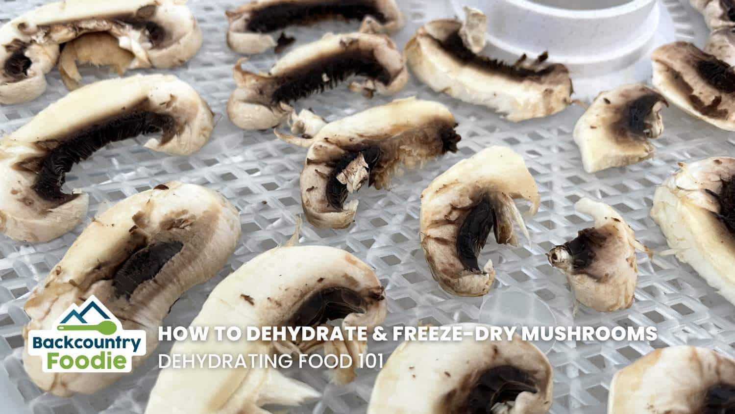 Backcountry Foodie how to dehydrate mushrooms blog thumbnail image