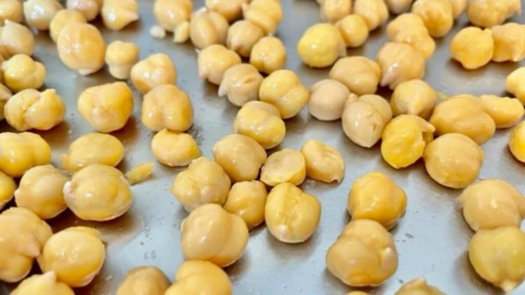 Canned chickpeas on freeze dryer tray waiting to be freeze dried for backpacking meals