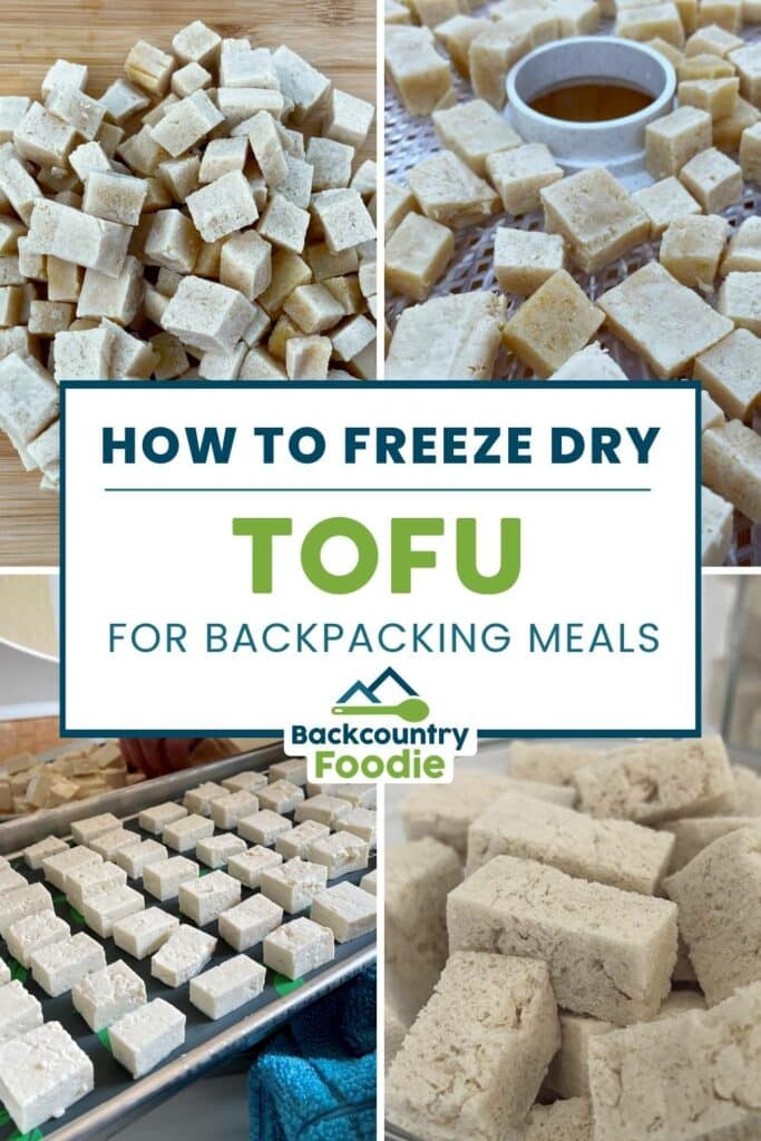 backcountry foodie blog how to freeze dry tofu Pinterest image