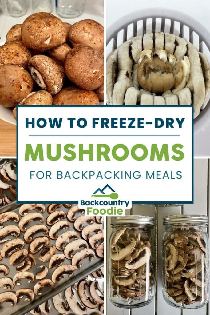backcountryfoodie blog how to freeze dry mushrooms for backpacking meals