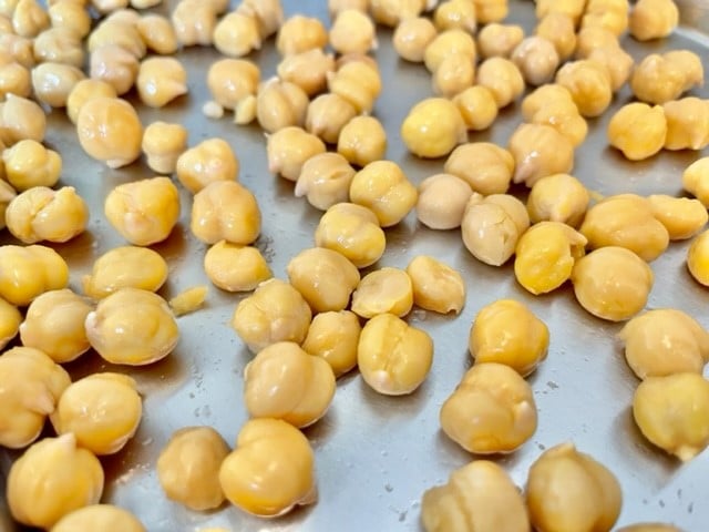 Canned chickpeas layered on a freeze dryer tray waiting to be freeze dried for backpacking meals.