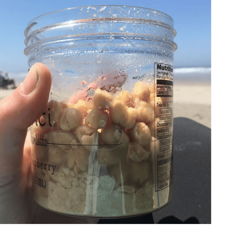 Dehydrated chickpeas rehydrated in a cold soaking jar with skins sitting on the bottom.