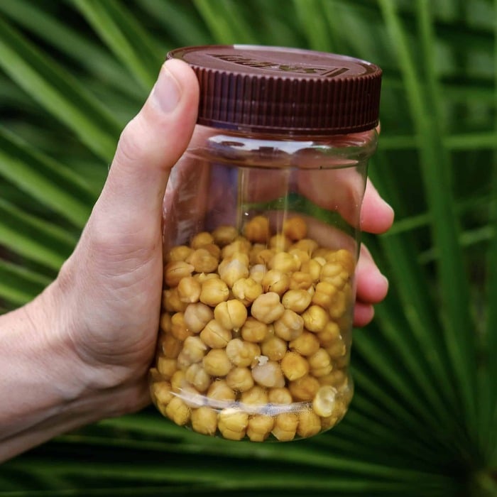 Dehydrated chickpeas rehydrated in a cold soak jar with skins removed