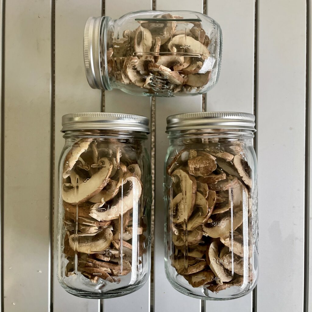 Freeze dried mushrooms stored in glass mason jars for long-terms storage to make DIY backpacking meals.