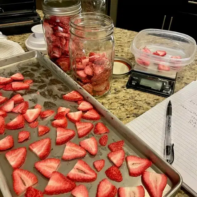 freeze dried strawberries with tray scale and notebook
