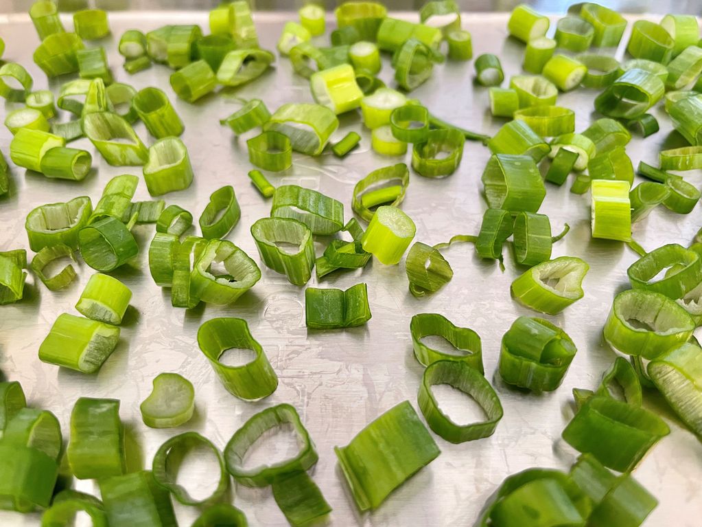 Learn how to freeze dry green onions for freezer bag DIY backpacking recipes.