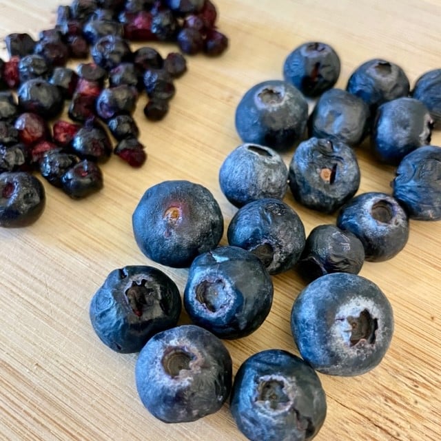 home freeze dried vs commercial freeze dried blueberries