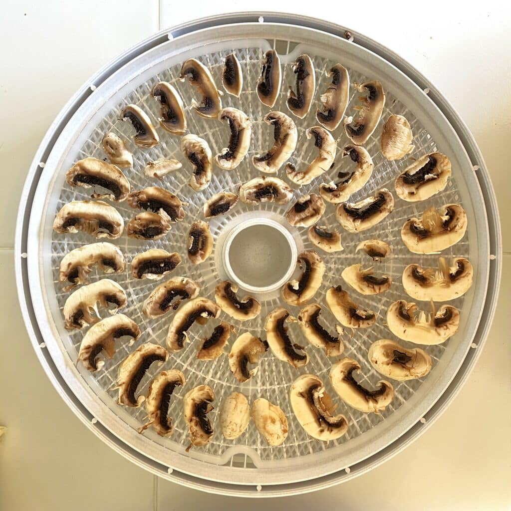Sliced mushrooms on a Nesco dehydrator tray to be dehydrated for backpacking meals.