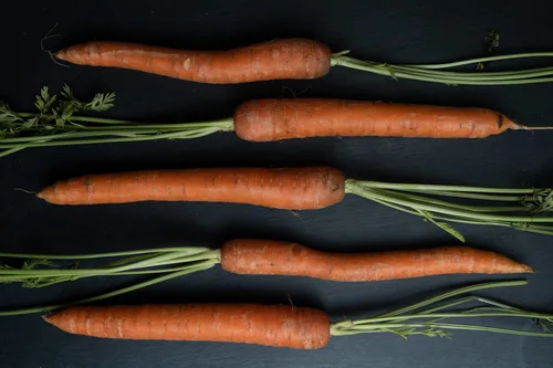 raw carrots on black background