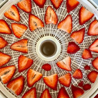 Backcountry Foodie How to Dehydrate Strawberries Ultralight Backpacking Recipes