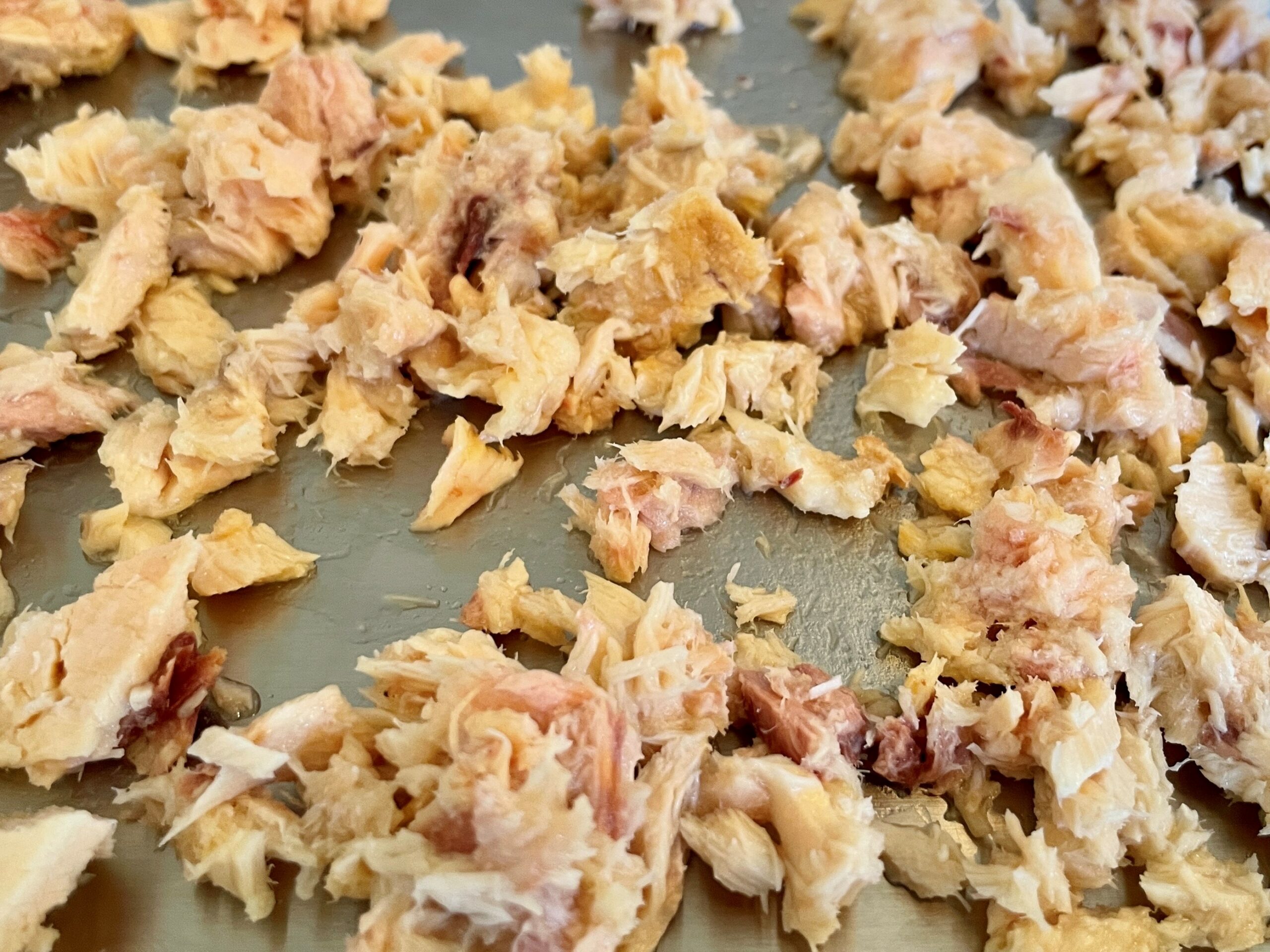 Freeze dryer tray with close up view of canned tuna waiting to be dried for backpacking meals.