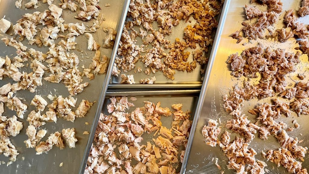 Four freeze dryer trays with canned tuna waiting to be dried for DIY backpacking meals.